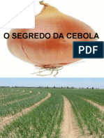 O Segredo Da Cebola