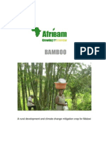 BAMBOO - A Rural Development and Climate Change Mitigation Crop For Malawi PDF