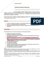 Ficha Sintese Estimulo Emprego (Vf 31-7-2014)