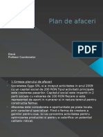 Plan de Afaceri