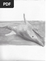 Silva, Ricardo - Hobbes e a Liberdade Repblicana de Skinner