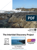 Carolyn Waddell 2015 Cornwall Intertidal Survey