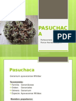 Pasuchaca Expo