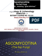 Ascomycotina Class PPT 2014