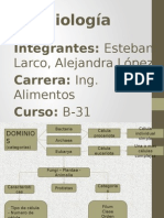 1.4 Cómo Clasifican Los Científicos A Los Seres Vivos