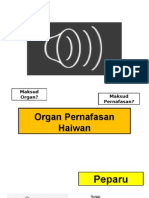 Organ Pernafasan Haiwan Ppt