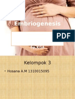 Embriogenesis