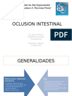 Oclusion Intestinal