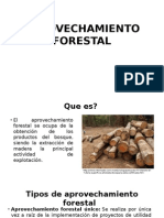 Aprovechamiento Forestal