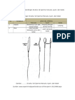 Tabel Perbandingan Sel Sperma