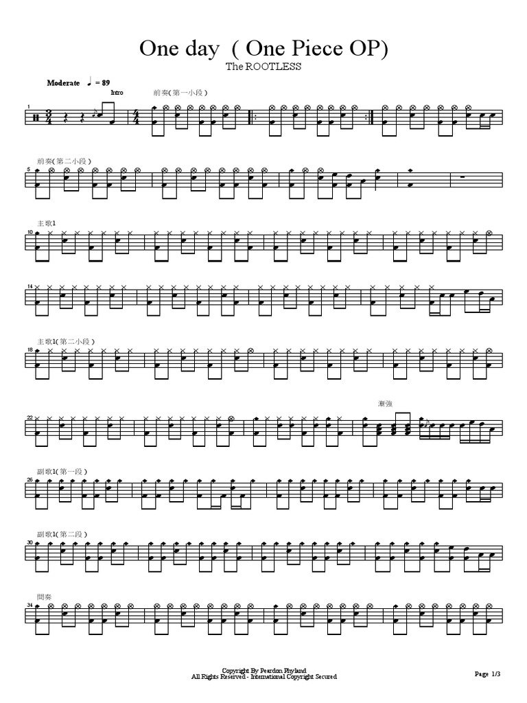 The Rootless One Day One Piece Op Pdf