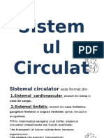 Sistemul Circulator