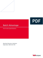 Batch Advantage File Specifications