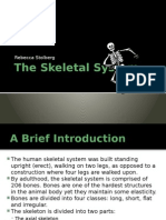 The Skeletal System: Rebecca Stolberg