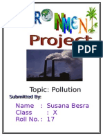 Topic: Pollution: Name: Susana Besra Class: X Roll No.: 17