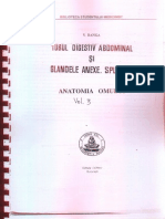 Anatomia Omului - Tubul Digestiv Abdominal Si Glandele Anexe (Viorel Ranga) Vol 3