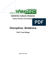 Plano de Curso Botanica Jane Braga