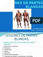 6lesiones de Partes Blandas Dr. Mallqui