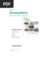 Download Project on Ecosystem by redwan999 SN26088585 doc pdf