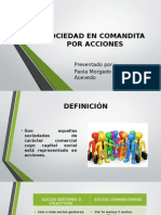 Exposicion Sociedad en Comandita Por Acciones1