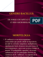 Bacillus