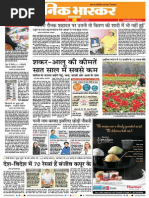 Danik Bhaskar Jaipur 03 15 2015 PDF | PDF