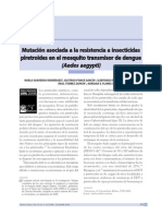 Mutaciones-Resistencias Insecticidad Aedes