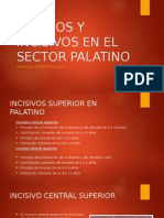 CANINOS Y INCISIVOS EN EL SECTOR PALATINO.pptx