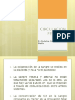 Circulacion Fetal