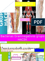 Grupo Hacek - Diapos