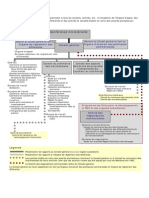 Organigram omc