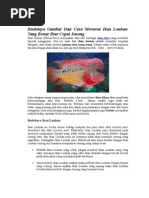 Download Budidaya Gambar Dan Cara Merawat Ikan Louhan Yang Benar Biar Cepat Jenong by Heru-Aifa SN260912518 doc pdf