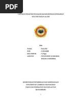 Download Laporan Praktikum Budidaya Pakan Alami by Halimi Hikari SN260912761 doc pdf