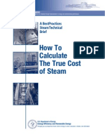 How to Calculate the True Cost of Steam