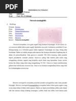 Test Golongan Darah Vector Bakteri Neisseria gonorrhoeae