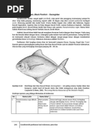 Download 4D_1-Ikan-Hasil-Tangkap-2 by julfandi kuncoro SN260926309 doc pdf