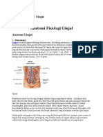 Anatomi Fisiologi Ginjal euytrthsgdhx