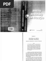 Princípios de Direito Minerário