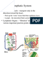 Chapter 20 Lymphatic System