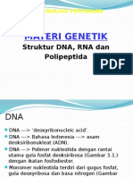 2.2. Dna, Rna, Polipeptida