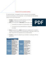 Actividad 2. La Importancia de La Sociedad Anónima