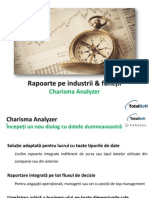 Tipuri de Rapoarte Pe Industrii Functii Charisma Analyzer