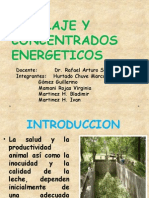 Ensilaje y Concentrados Energeticos