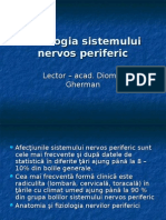 Patologia Sistemului Nervos Periferic