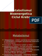 Metabolismul_1