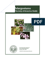 Pelargonium Guide