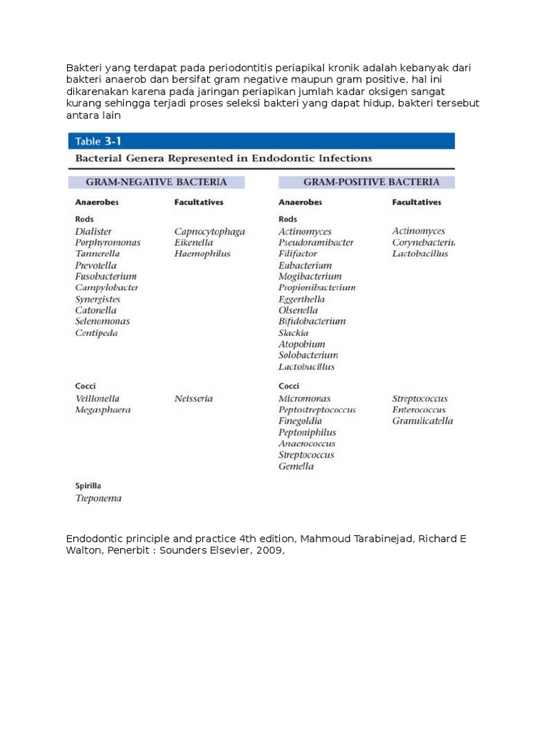 Bakteri Gram Negatif Dan Positif Rongga Mulut Pdf