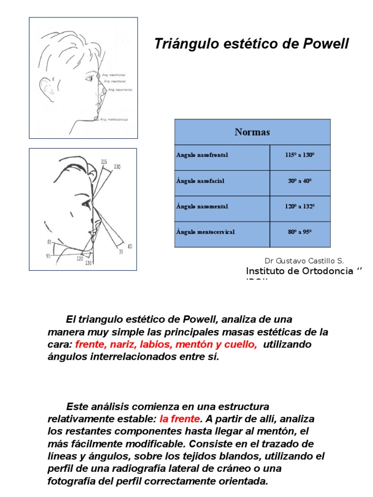 Analisis de Powell | PDF | Anatomía humana | Cuerpo humano