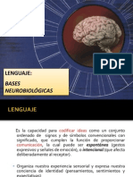 2LENGUAJE .pdf