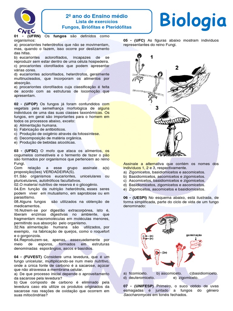 Lista Exercicios Fungos Briofitas e Pteridofitas (1) | Plantas | Musgo